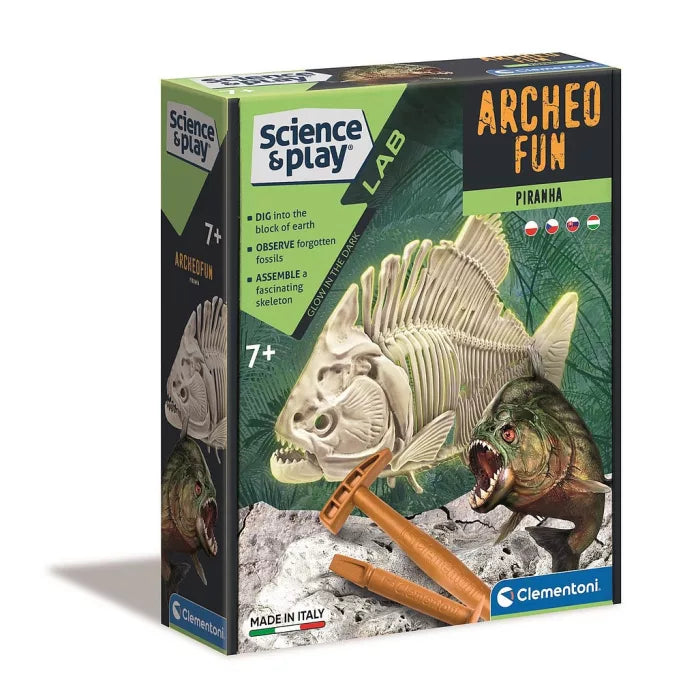 Kit archéologique piranha 7+