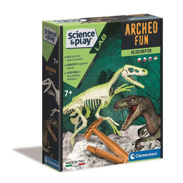 Kit archéologique dinosaure 7+