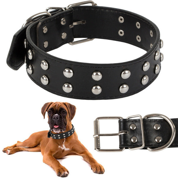 Collier pour chien avec clous eco-cuir