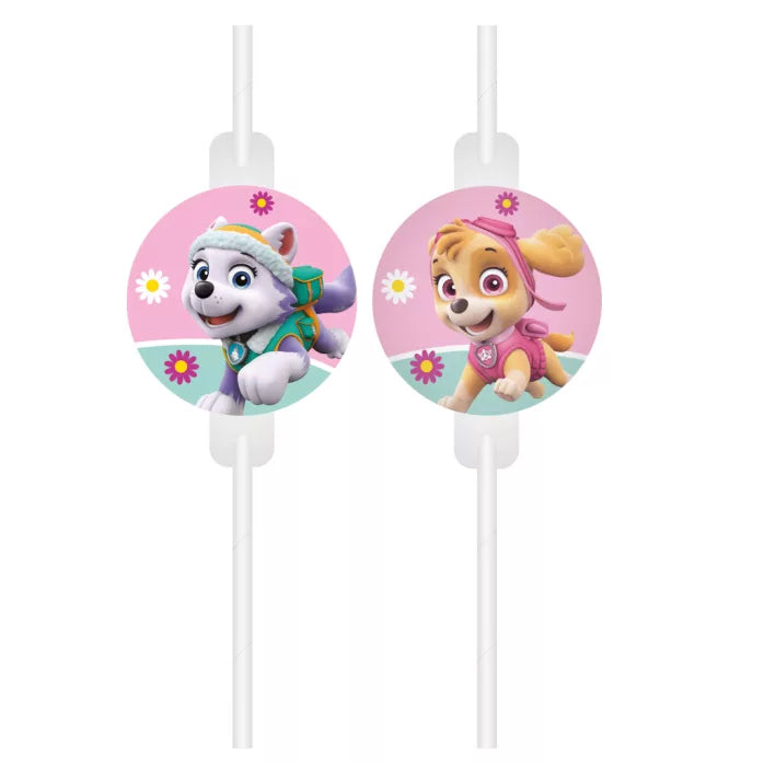 Lot de 4 pailles en papier pat patrouille