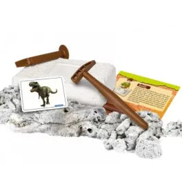 Kit archéologique dinosaure 7+