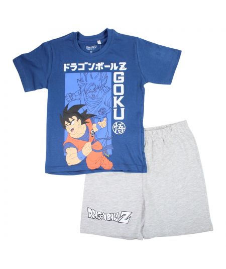 Ensemble été Dragon ball