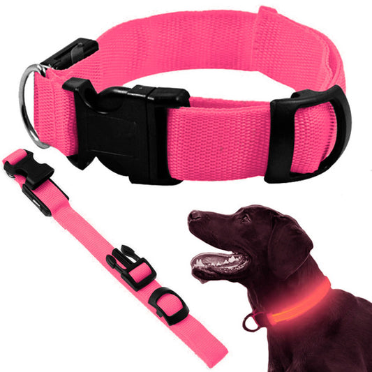 Collier led pour chats et chiens réglable