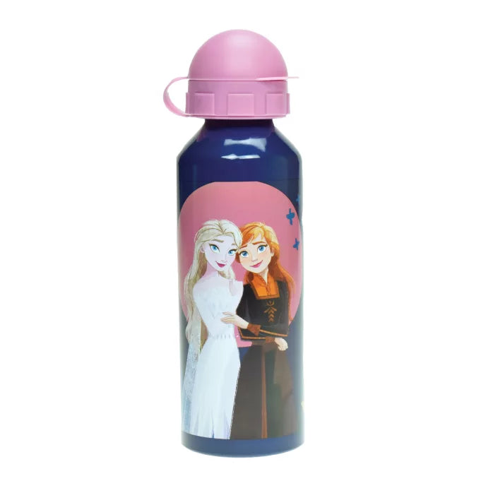 Gourde en aluminium reine des neiges 520 ml