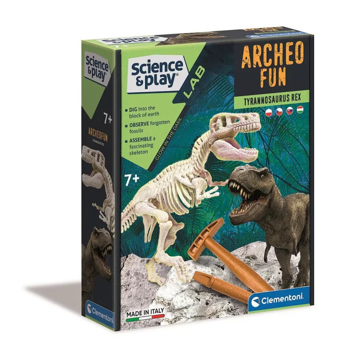Kit archéologique dinosaure 7+