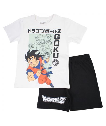 Ensemble été Dragon ball